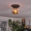 Ripoll ceiling light, globe light Smoke-coloured, 1-light source