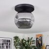 Ripoll ceiling light, globe light Smoke-coloured, 1-light source