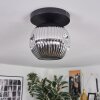 Ripoll ceiling light, globe light chrome, Smoke-coloured, 1-light source