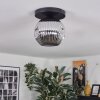 Ripoll ceiling light, globe light chrome, Smoke-coloured, 1-light source