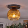 Ripoll ceiling light, globe light gold, clear, 1-light source