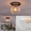 Ripoll ceiling light, globe light clear, 1-light source
