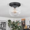 Ripoll ceiling light, globe light clear, 1-light source