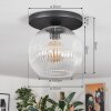 Ripoll ceiling light, globe light clear, 1-light source