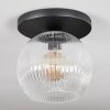 Ripoll ceiling light, globe light clear, 1-light source