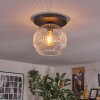 Ripoll ceiling light, globe light clear, 1-light source