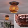 Ripoll ceiling light, globe light coppery, 1-light source