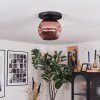Ripoll ceiling light, globe light coppery, 1-light source