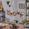 Gastor hanging light, globe light, pendant light clear, Smoke-coloured, 8-light sources
