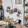 Gastor hanging light, globe light, pendant light clear, Smoke-coloured, 8-light sources