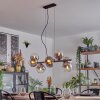 Gastor hanging light, globe light, pendant light clear, Smoke-coloured, 8-light sources