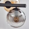 Gastor hanging light, globe light, pendant light Amber, clear, Smoke-coloured, 8-light sources
