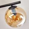 Gastor ceiling light, globe light Amber, chrome, Smoke-coloured, 5-light sources