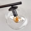 Gastor ceiling light, globe light Amber, clear, Smoke-coloured, 4-light sources
