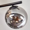 Gastor ceiling light, globe light Amber, Smoke-coloured, 5-light sources