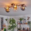 Gastor ceiling light, globe light Amber, clear, Smoke-coloured, 5-light sources