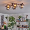 Gastor ceiling light, globe light clear, Smoke-coloured, 5-light sources