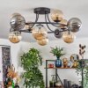 Chehalis ceiling light, globe light Amber, Smoke-coloured, 12-light sources