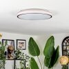 Anora ceiling light LED copper, white, 1-light source