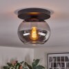 Apedo ceiling light, globe light Smoke-coloured, 1-light source