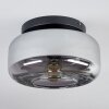 Boza ceiling light, globe light Smoke-coloured, 1-light source