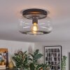 Boza ceiling light, globe light clear, 1-light source