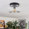 Boza ceiling light, globe light clear, 1-light source
