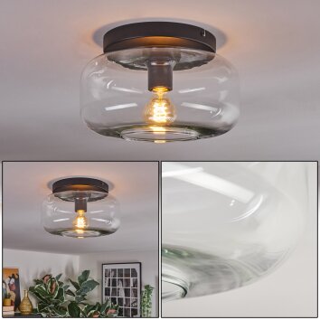 Boza ceiling light, globe light clear, 1-light source