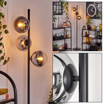 Gastor floor lamp chrome, clear, Smoke-coloured, 3-light sources