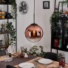 Gastor hanging light, globe light, pendant light 30 cm clear, coppery, 1-light source