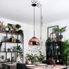 Gastor hanging light, globe light, pendant light 30 cm clear, coppery, 1-light source