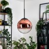 Gastor hanging light, globe light, pendant light clear, coppery, 1-light source