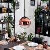 Gastor hanging light, globe light, pendant light clear, coppery, 1-light source