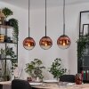 Gastor hanging light, globe light, pendant light 20 cm clear, coppery, 3-light sources