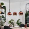 Gastor hanging light, globe light, pendant light 20 cm clear, coppery, 3-light sources