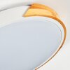Cadaixo ceiling light, Panel LED white, 1-light source