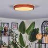 Sofo ceiling light, Panel LED white, 1-light source, Remote control