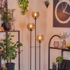 Koyoto floor lamp 25 cm Light wood, black, 3-light sources