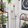 Gastor floor lamp 30 cm Light wood, black, 3-light sources