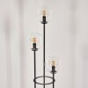 Gastor floor lamp 30 cm Light wood, black, 3-light sources