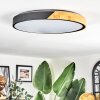 Cadaixo ceiling light LED Ecru, black, 1-light source, Remote control