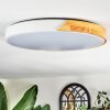 Cadaixo ceiling light LED Ecru, white, 1-light source, Remote control