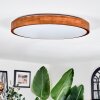 Sofo ceiling light LED Ecru, 1-light source, Remote control