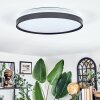 Sofo ceiling light LED black, 1-light source, Remote control