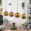 Koyoto hanging light, globe light, pendant light gold, 4-light sources
