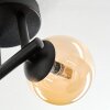 Chehalis ceiling light, globe light Amber, 3-light sources
