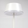 Romdrup Outdoor table lamp, table lamp LED white, 1-light source