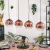 Koyoto hanging light, globe light, pendant light clear, coppery, 4-light sources