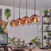 Koyoto hanging light, globe light, pendant light clear, coppery, 4-light sources