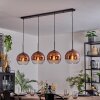 Koyoto hanging light, globe light, pendant light clear, coppery, 4-light sources